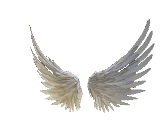 Angle_Wings_Gif