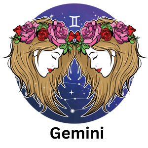 gemini sixth sense