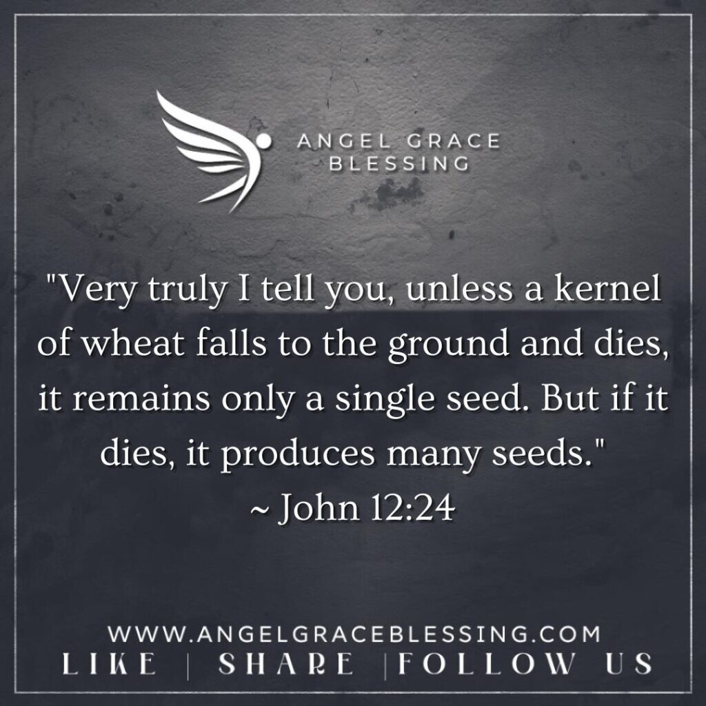 Embracing Growth through Surrender - Angel Grace Blessing