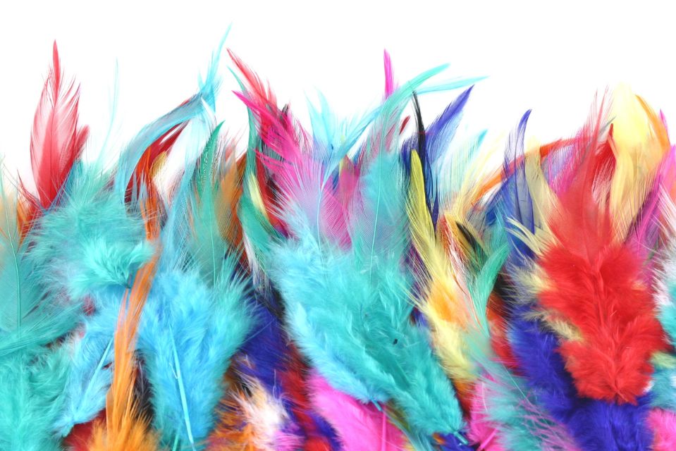 Feathers as Signs from Angels: Interpreting Their Colors and Types