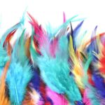 Feathers as Signs from Angels: Interpreting Their Colors and Types