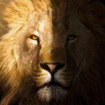 How the Lion Spirit Animal Inspires Confidence and Overcoming Challenges