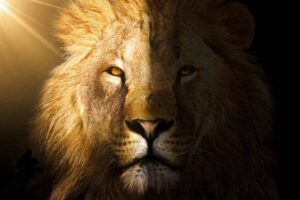 How the Lion Spirit Animal Inspires Confidence and Overcoming Challenges