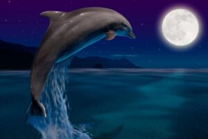 The Meaning of the Dolphin Spirit Animal as a Symbol of Playfulness and Harmony