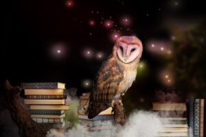 Understanding the Sacred Owl Spirit Animal and Its Powerful Insights