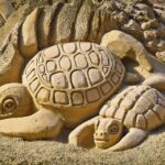 Understanding the Turtle Spirit Animal’s Role in Grounding and Stability