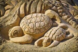 Understanding the Turtle Spirit Animal’s Role in Grounding and Stability