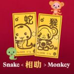 snake and monkey guardian