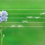 Archangel Sandalphon: Messenger of Divine Melodies and Creative Awakening