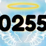 Angel Number 0255