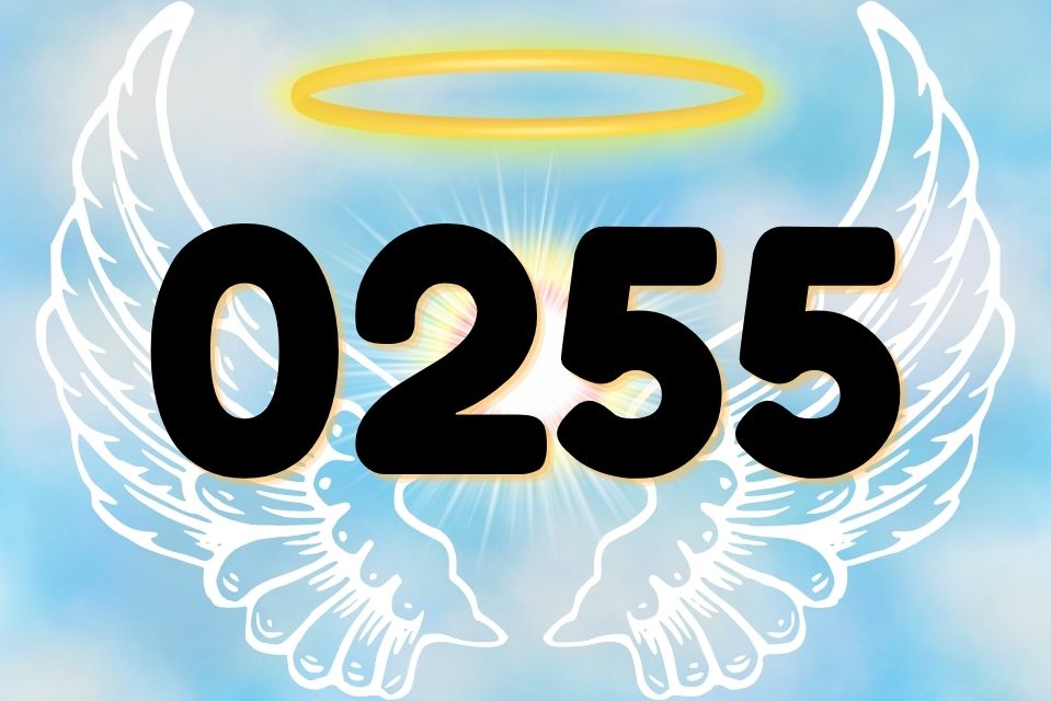 Angel Number 0255