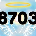 Angel Number 8703